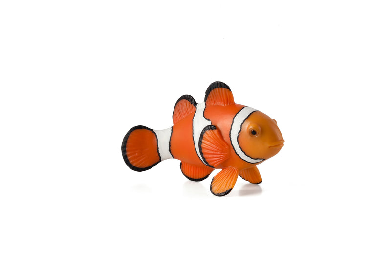 Toy School Clown Fish