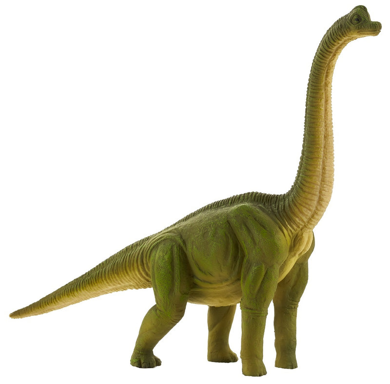 Toy School Dinosaur Brachiosaurus