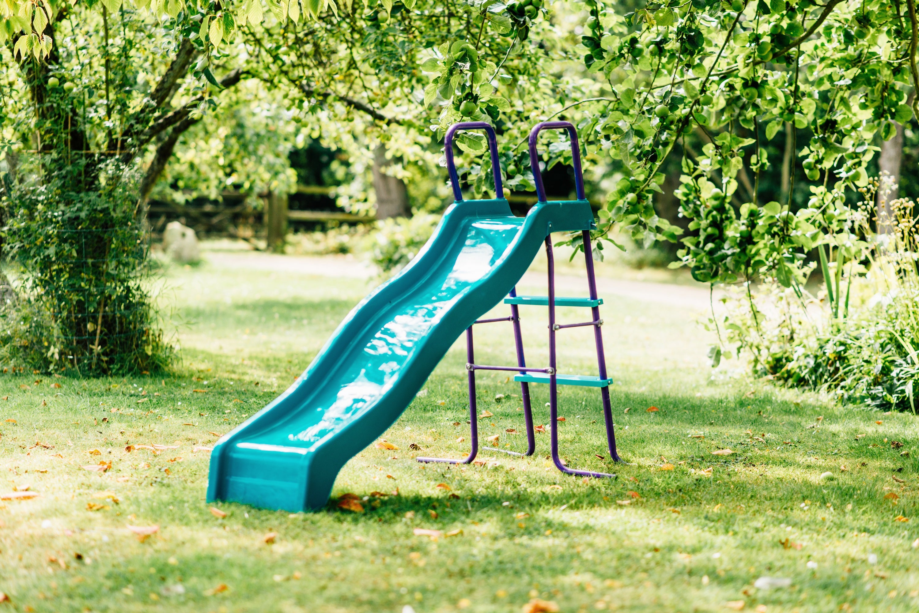 Plum Haumea Slide