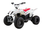 Razor Dirt Quad 500 15km/h White