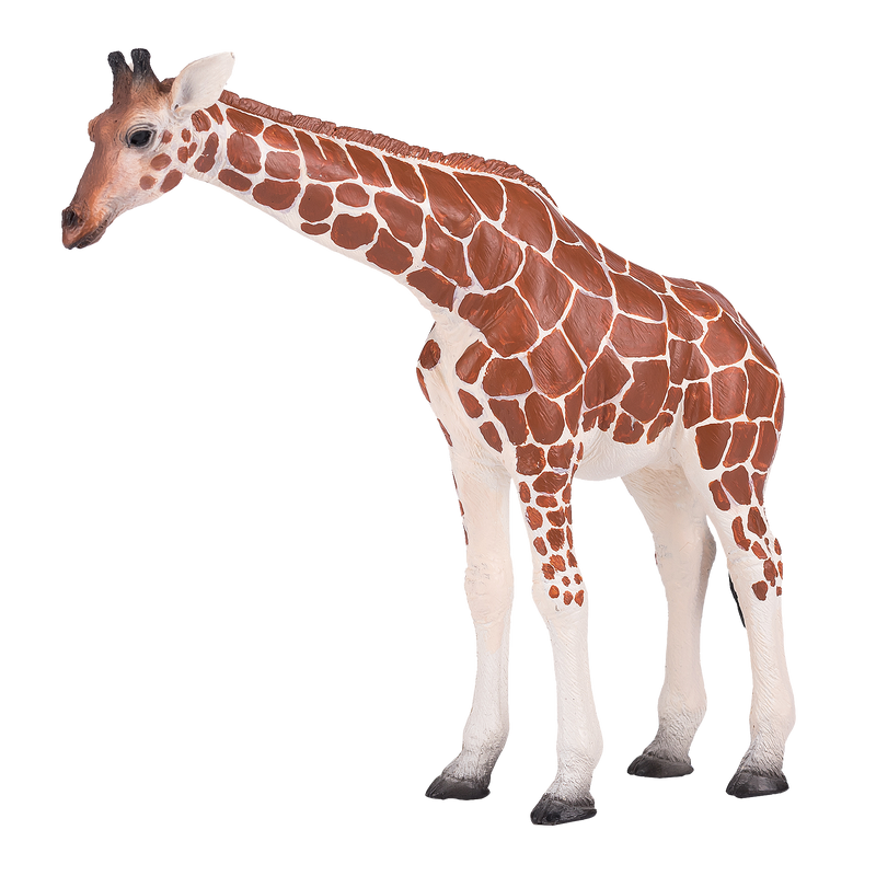 Toy School Plastic Animal Giraffe Female