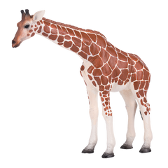 Toy School Plastic Animal Giraffe Female