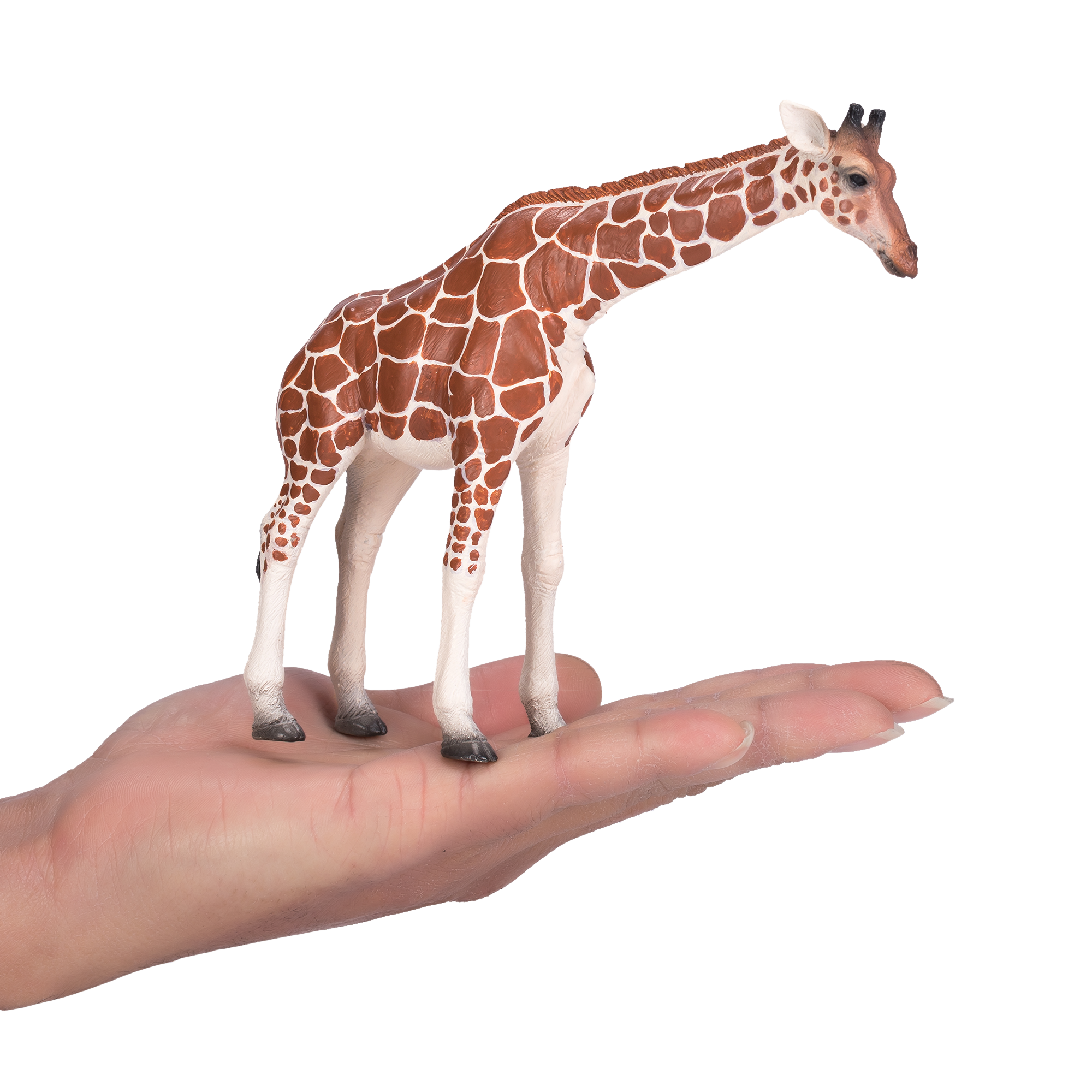 Toy School Plastic Animal Giraffe Female