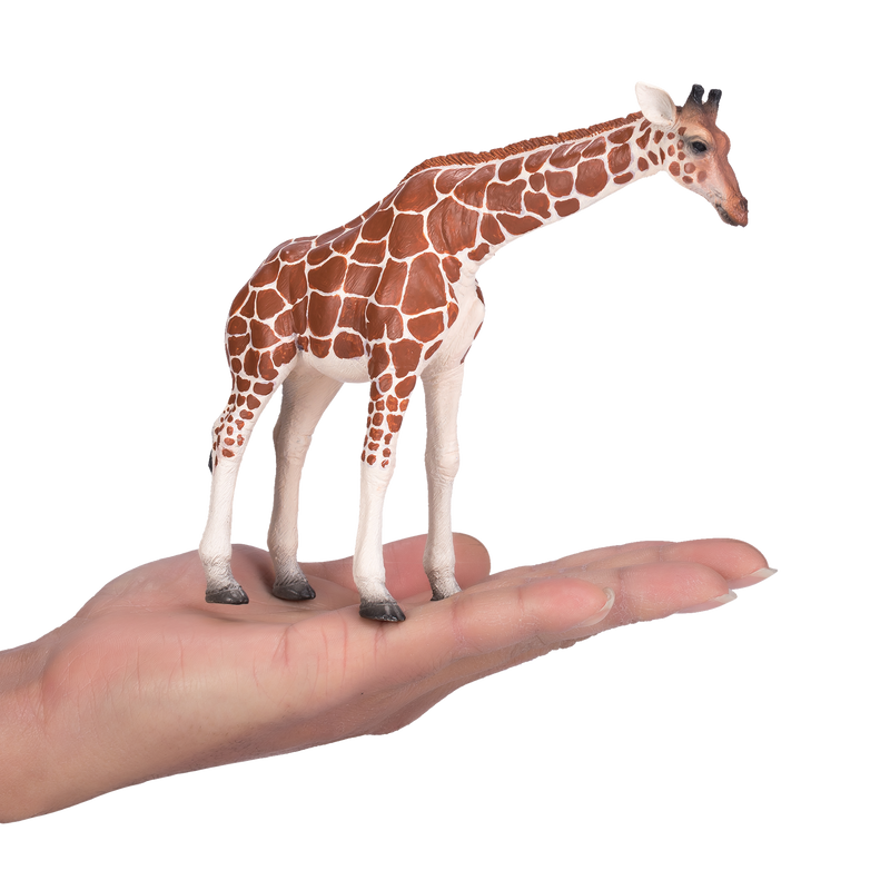 Toy School Plastic Animal Giraffe Female