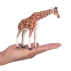 Toy School Plastic Animal Giraffe Female