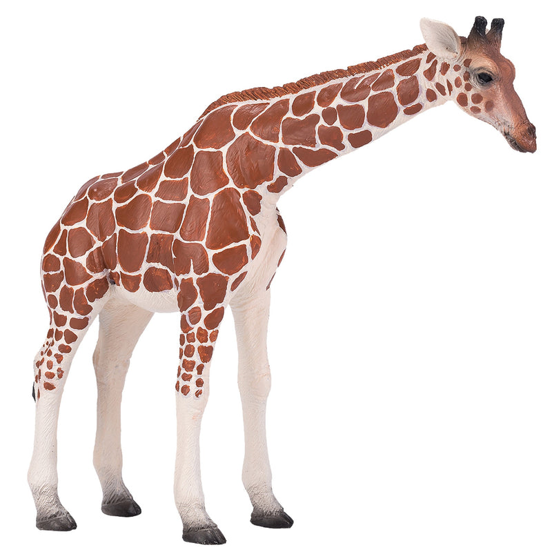 Toy School Plastic Animal Giraffe Female