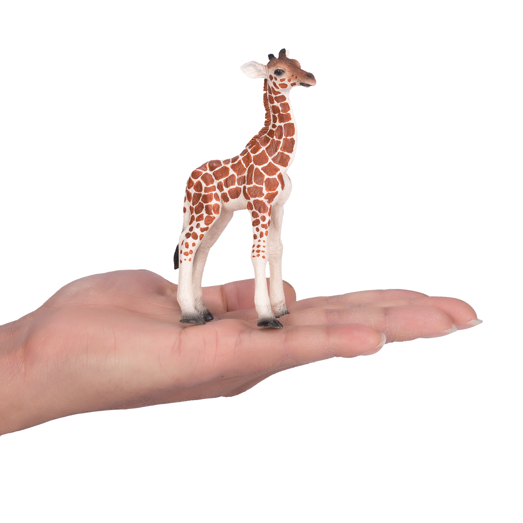 Toy School Plastic Animal Giraffe Calf