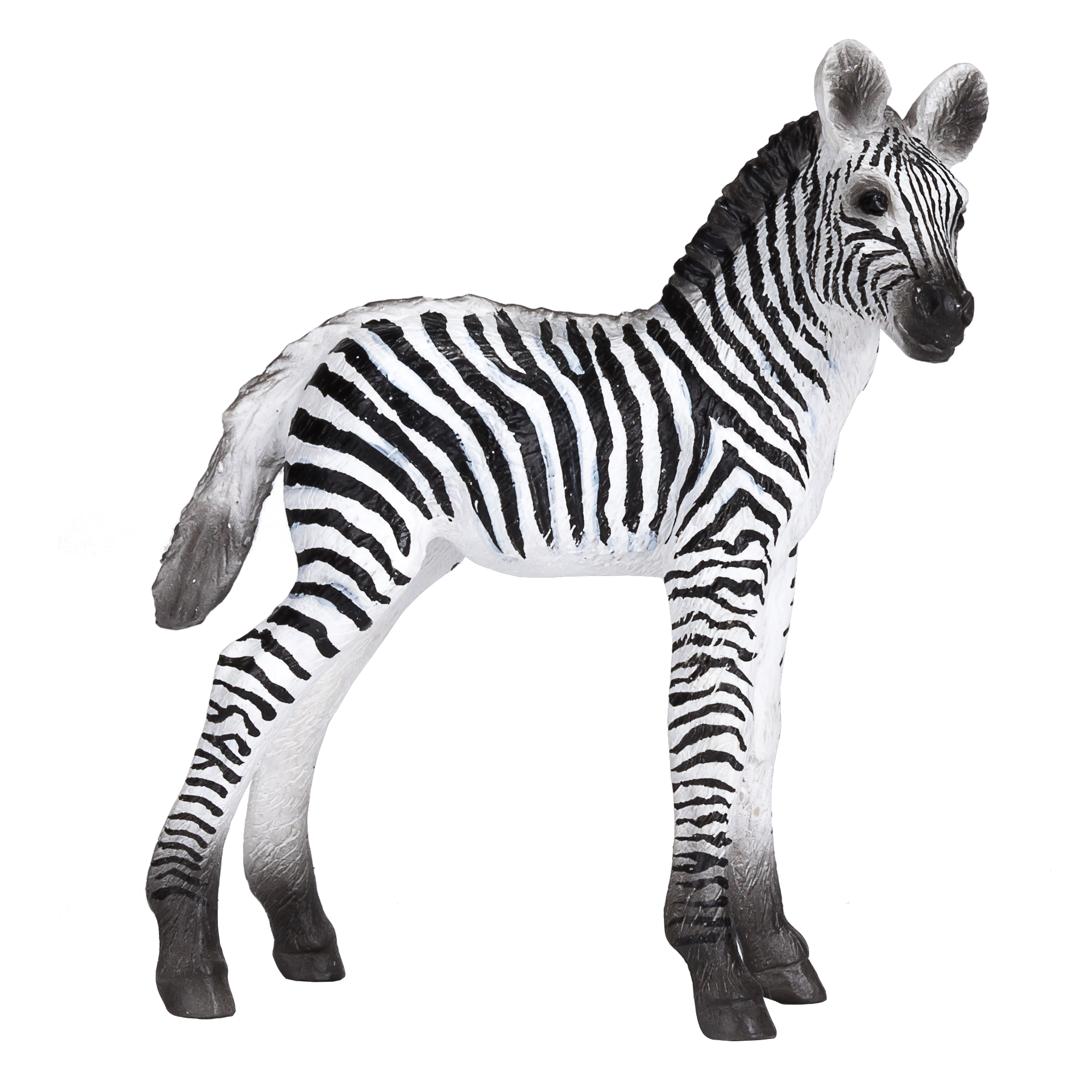 Toy School Plastic Animal Zebra Foal