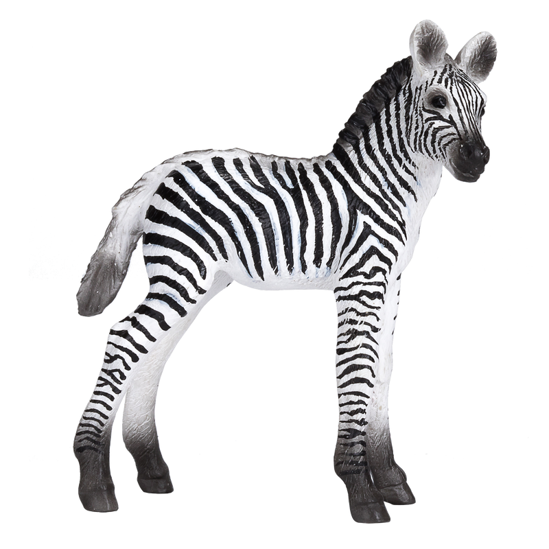 Toy School Plastic Animal Zebra Foal