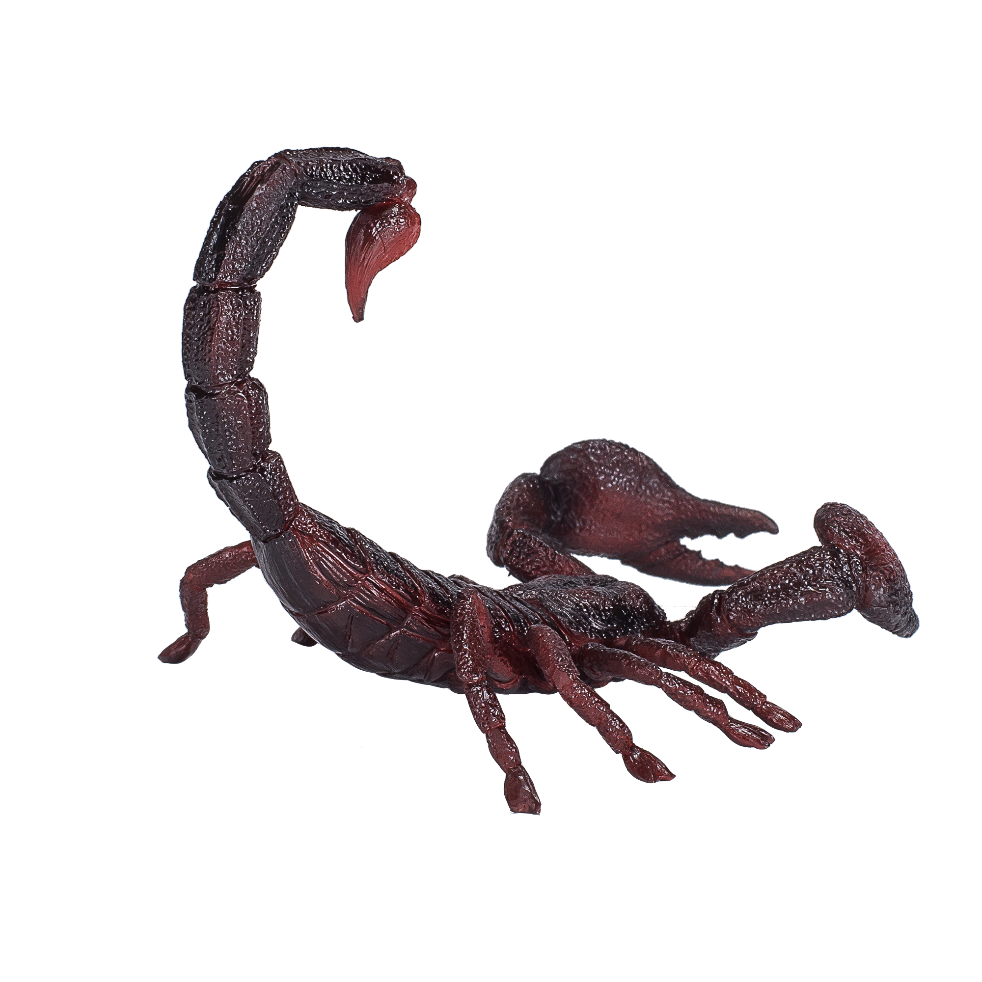 Toy School Plastic Animal Emperor Scorpion