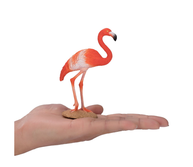 Toy School Plastic Animal American Flamingo