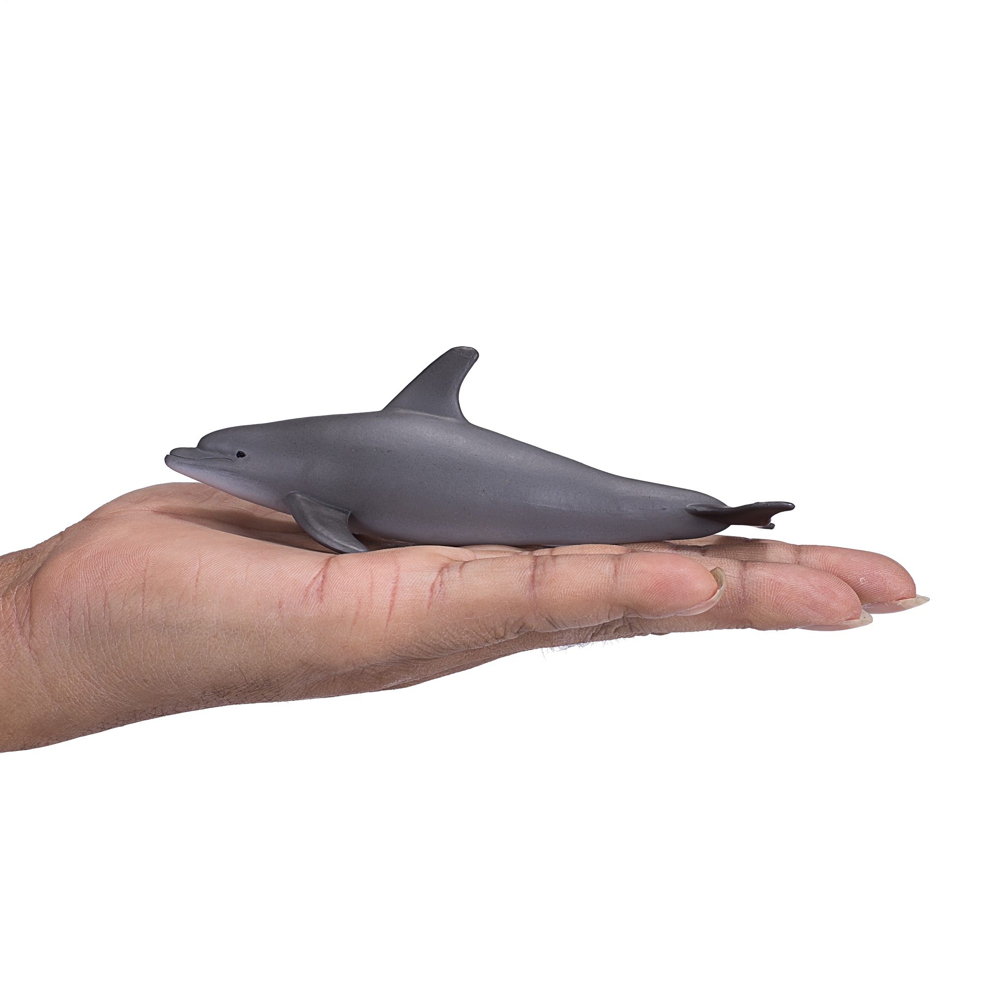 Mojo Animal Bottlenose Dolphin