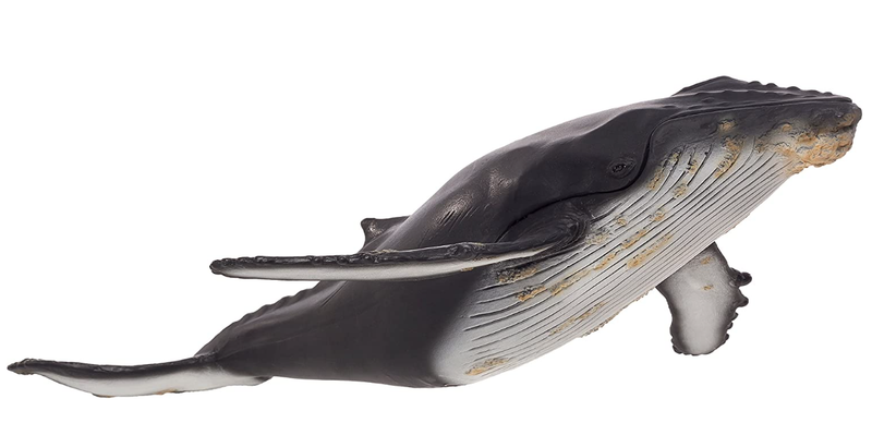 Toy School Plastic Animal Humpback Whale