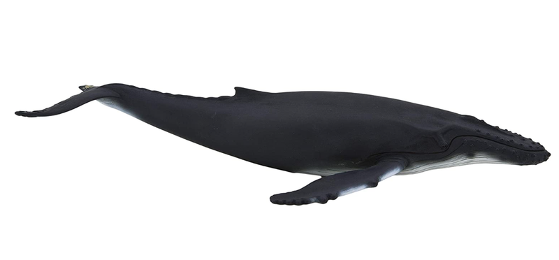 Toy School Plastic Animal Humpback Whale