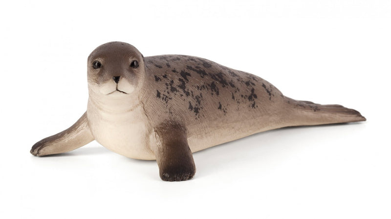 Toy School Plastic Animal Grey Seal