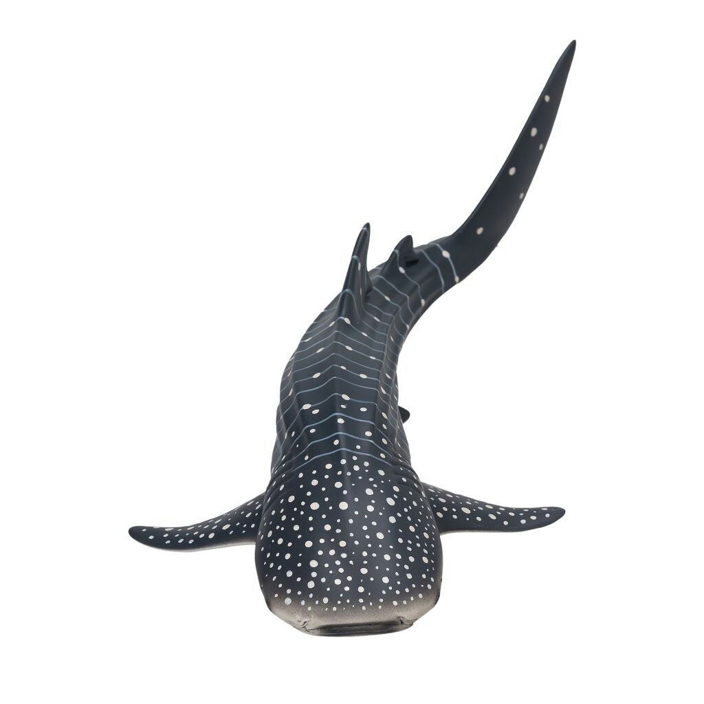 Toy School Plastic Animal Whale Shark