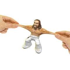 Heroes of Goo Jit Zu WWE Series 2 Stretchy Superstar Seth Freakin Rollins Action Figure