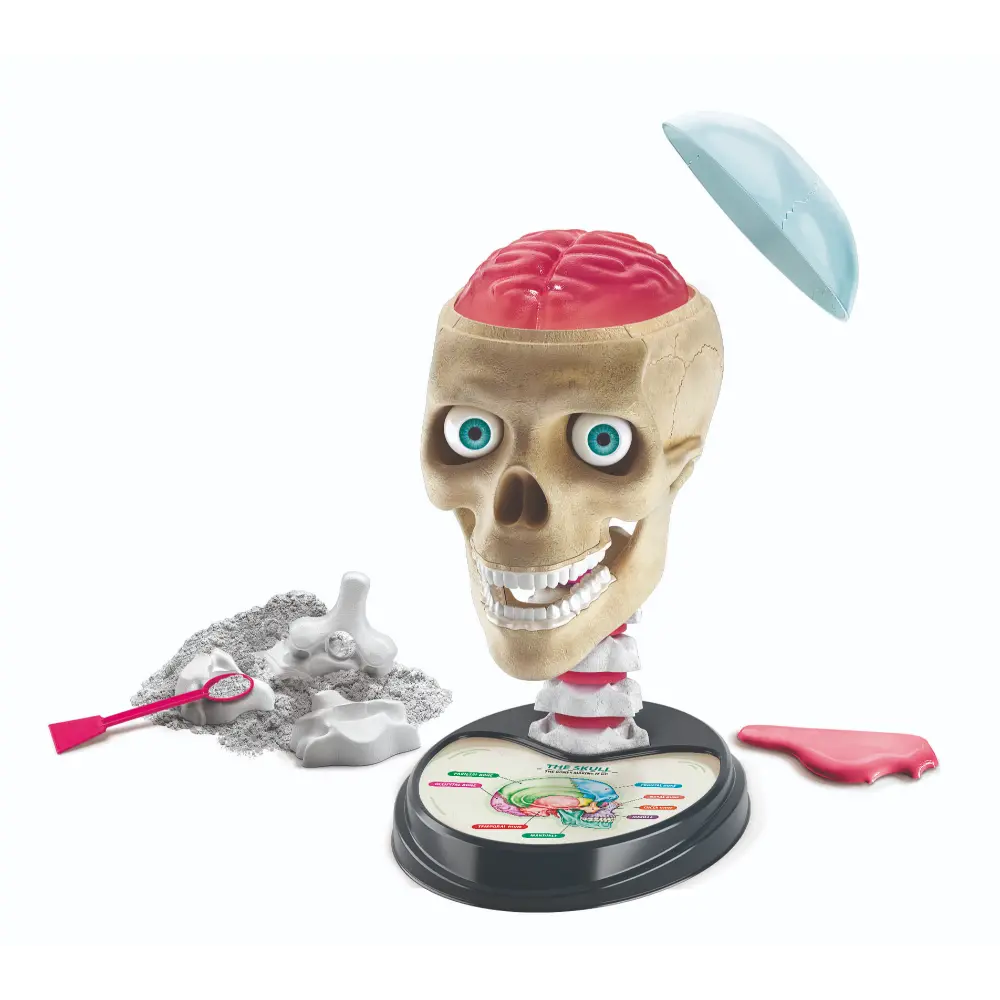 Clementoni Science&Play Crazy Anatomy Lab – ELC Toys Qatar
