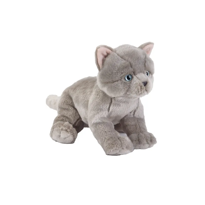 NATGEO PLUSH PREMIUM BRITISH KITTEN 10IN
