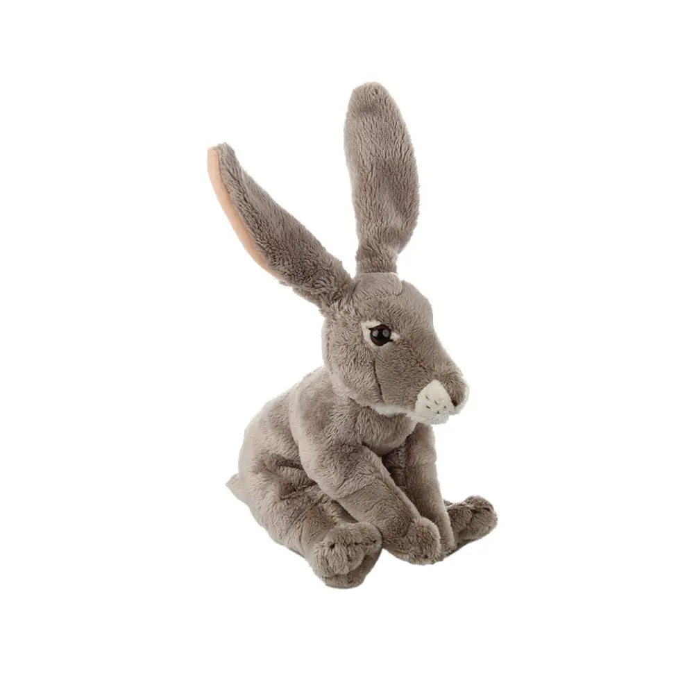 أرنب بري قطيفة National Geographic - ٦ بوصات