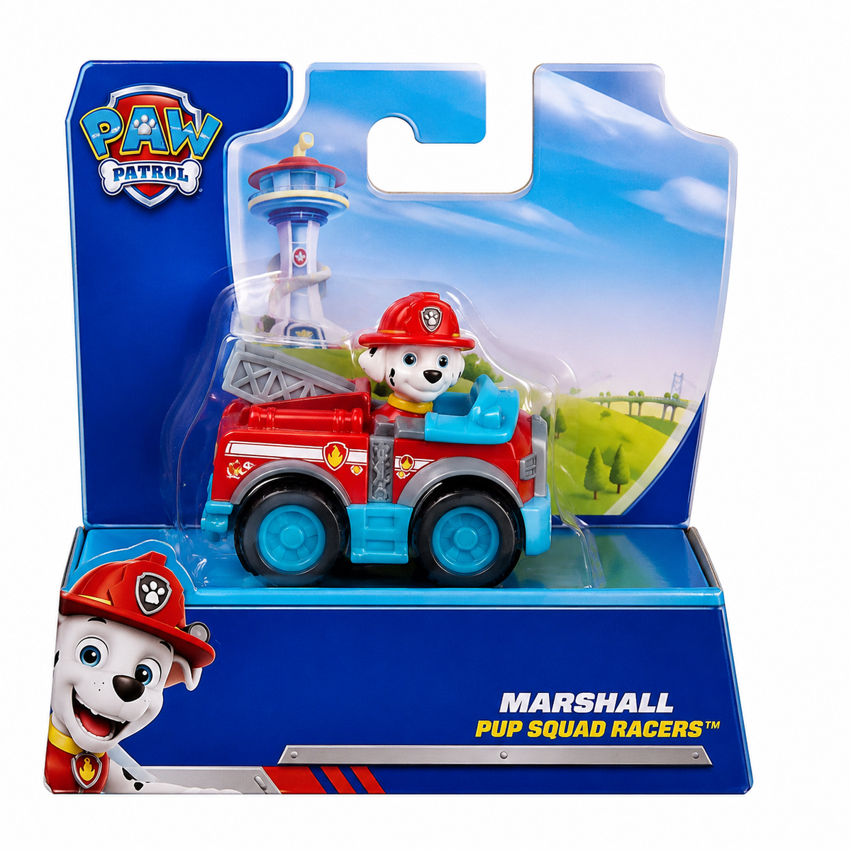 Paw Patrol Pup Squad Racers شخصيات متنوعةs - تباع بالقطعة (Random Selection)