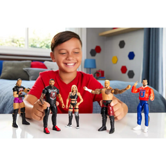 شخصيات أكشن أساسية من WWE متنوعة