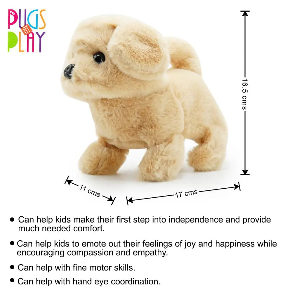 Pugs At Play Walking Goldie 6.5 B/O