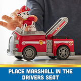 Paw Patrol Basic Vehicle Assorted Character - Random Selection