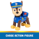 Paw Patrol Basic Vehicle Assorted Character - Random Selection