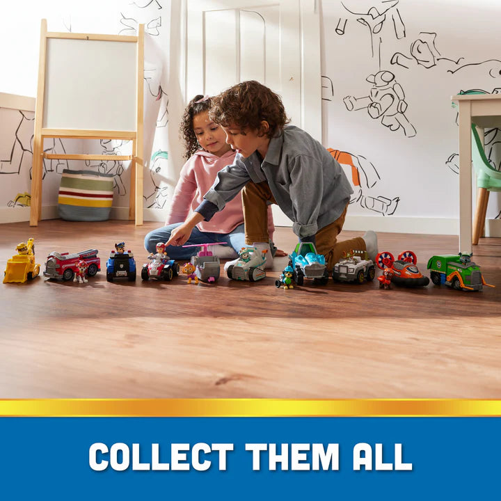 Paw Patrol Basic Vehicle Assorted Character - Random Selection