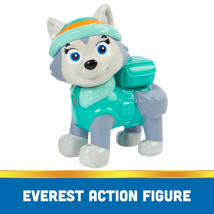 Paw Patrol Basic Vehicle Assorted Character - Random Selection