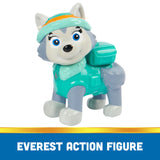 Paw Patrol Basic Vehicle Assorted Character - Random Selection