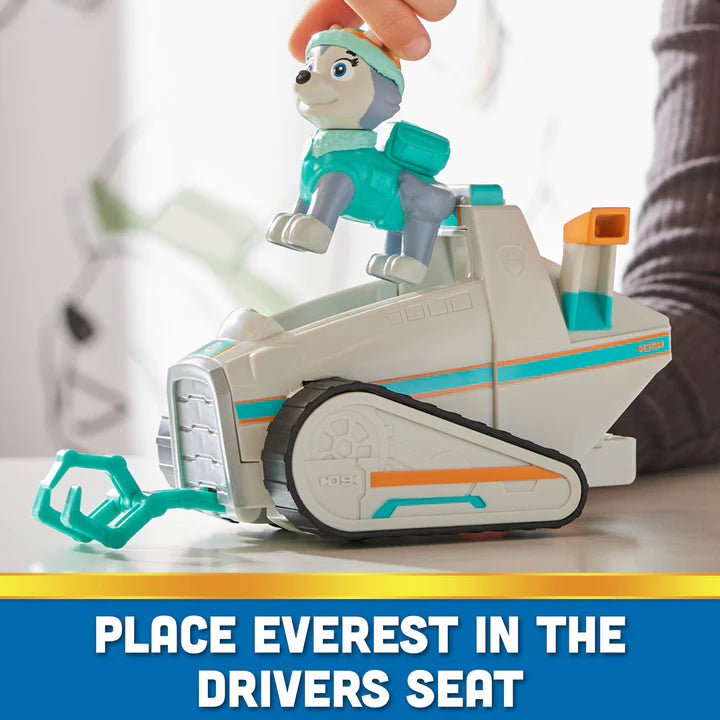 Paw Patrol Basic Vehicle Assorted Character - Random Selection