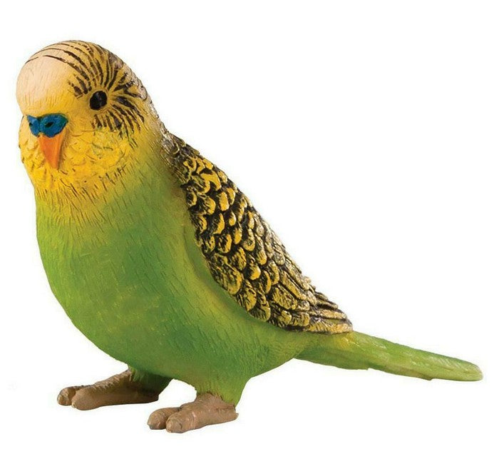 Toy School Budgerigar Green