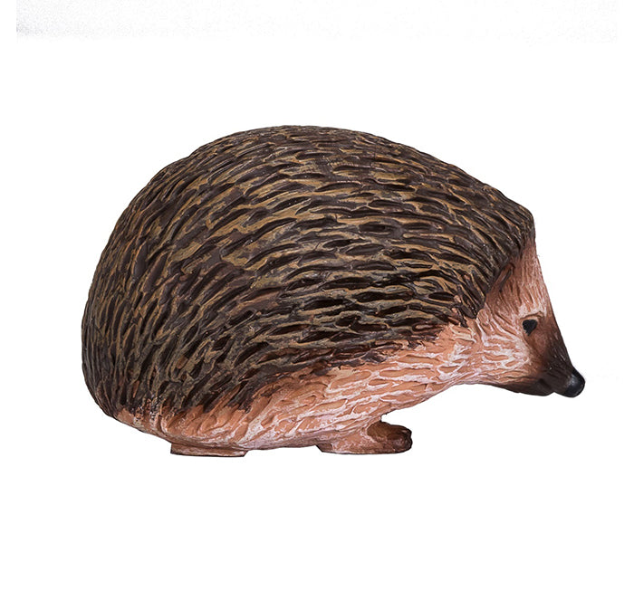 Toy School Hedgehog